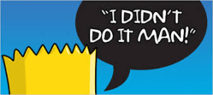 I didn't do it